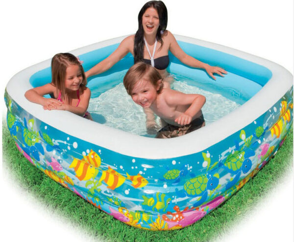 Aquarium Outdoor Inflatable Swimming Pool - Image 2