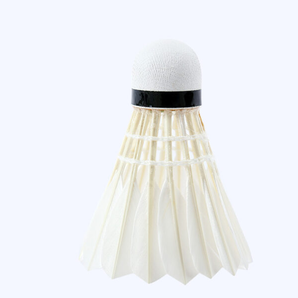 Goose Feather Badminton Resistant 12 Pack Training - Image 3