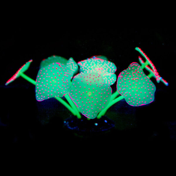 Silica Gel Aquarium For Artificial Aquarium Coral Plants - Image 3