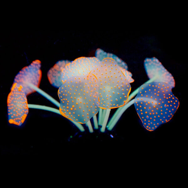 Silica Gel Aquarium For Artificial Aquarium Coral Plants - Image 4