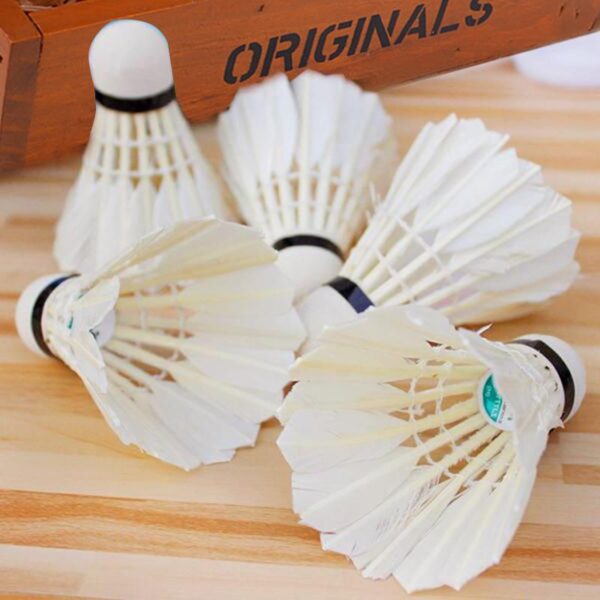 Big flight stable badminton - Image 6
