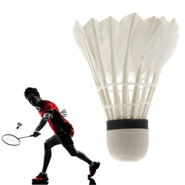 Big flight stable badminton - Image 4