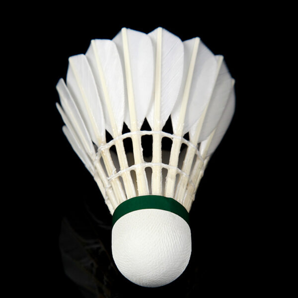 Wholesale Teal Feather Humpback Badminton Supplies - Image 2