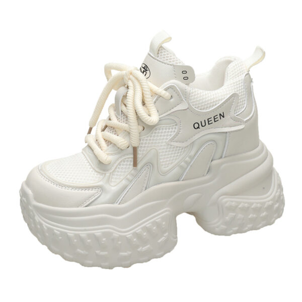Mesh Breathable Platform Sports Casual Daddy Shoes - Image 6