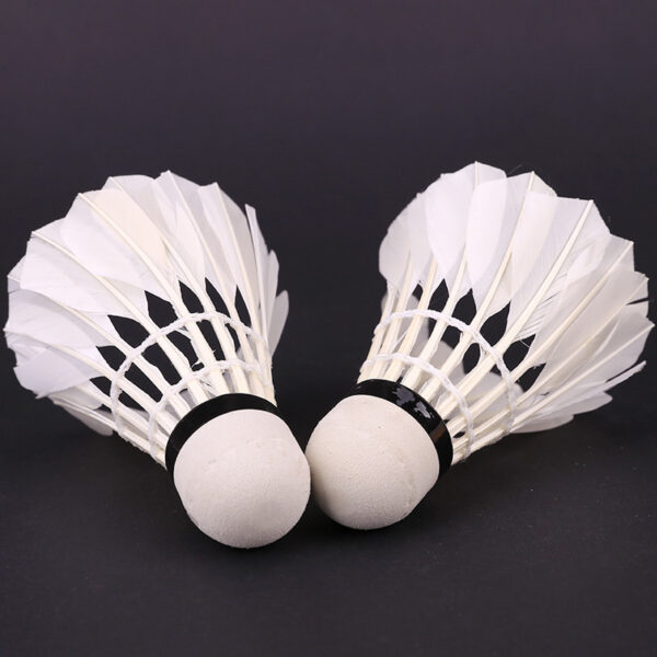 Training Play Badminton Resistant 12 Piece Suit - Image 2