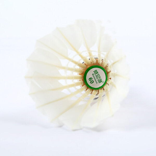 Goose Feather Badminton Resistant 12 Pack Training - Image 5