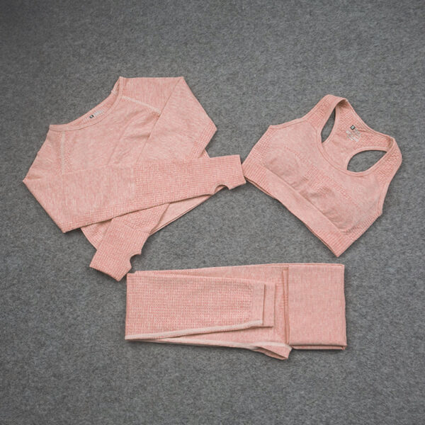 Seamless Yoga Wear Sports Suit Outdoor Fitness Vest Quick Dry Tight Sportswear Yoga Pants Women - Image 3