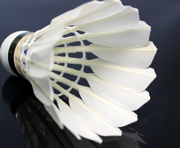 Badminton 800A Flight Is Stable And Resistant - Image 8