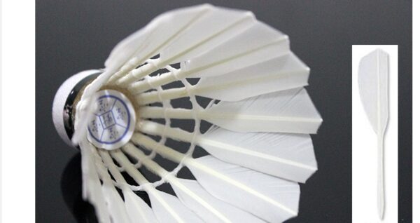 Badminton 800A Flight Is Stable And Resistant - Image 5
