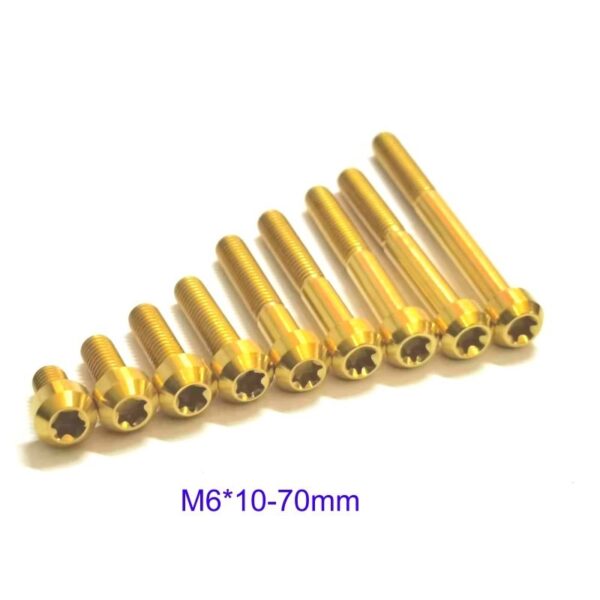 Balance Bike Accessories Torx Head Screw - Image 4