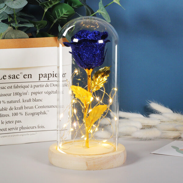 Valentines Day Gift  For Girlfriend Eternal Rose Flowers LED Light In Glass Cover Day Wedding Decoration Favors Mother Day Female Gift  Gift - Image 4