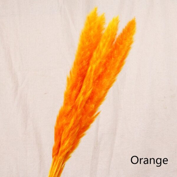 Reed dried flower home decoration - Image 4