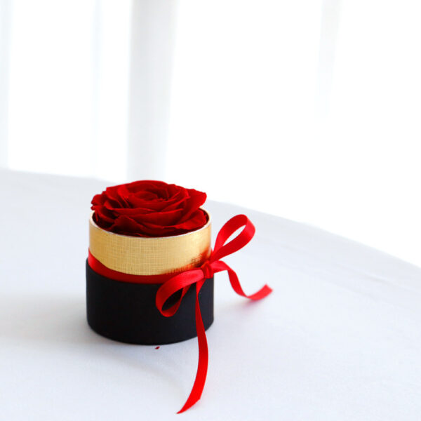 Eternal Roses In Box Preserved Real Rose Flowers With Box Set Valentines Day Gift Romantic Artificial Flowers - Image 4