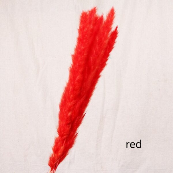 Reed dried flower home decoration - Image 6
