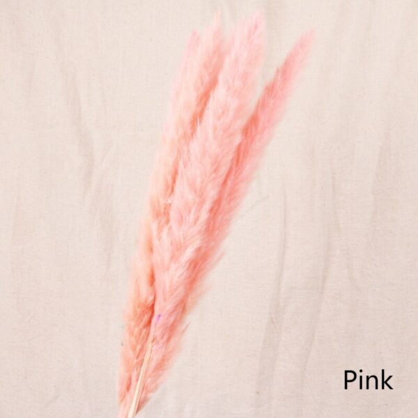 Reed dried flower home decoration - Image 5