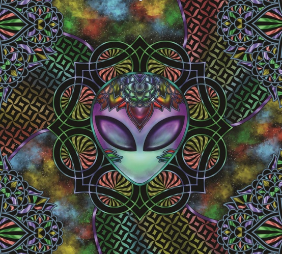 TAP -- Wall Covering Fabric - Image 4