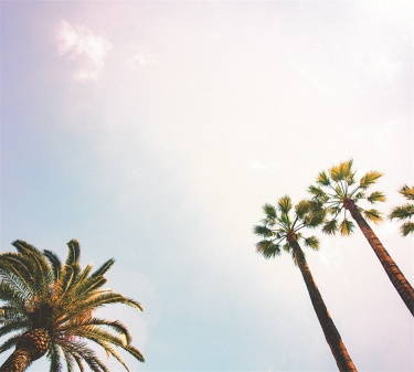 TAP -- Wall Covering Fabric - Image 6